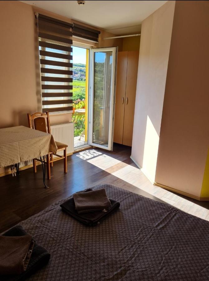 Vila Belilo Sremski Karlovci Exterior foto