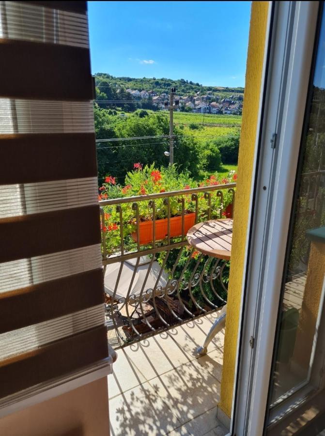 Vila Belilo Sremski Karlovci Exterior foto